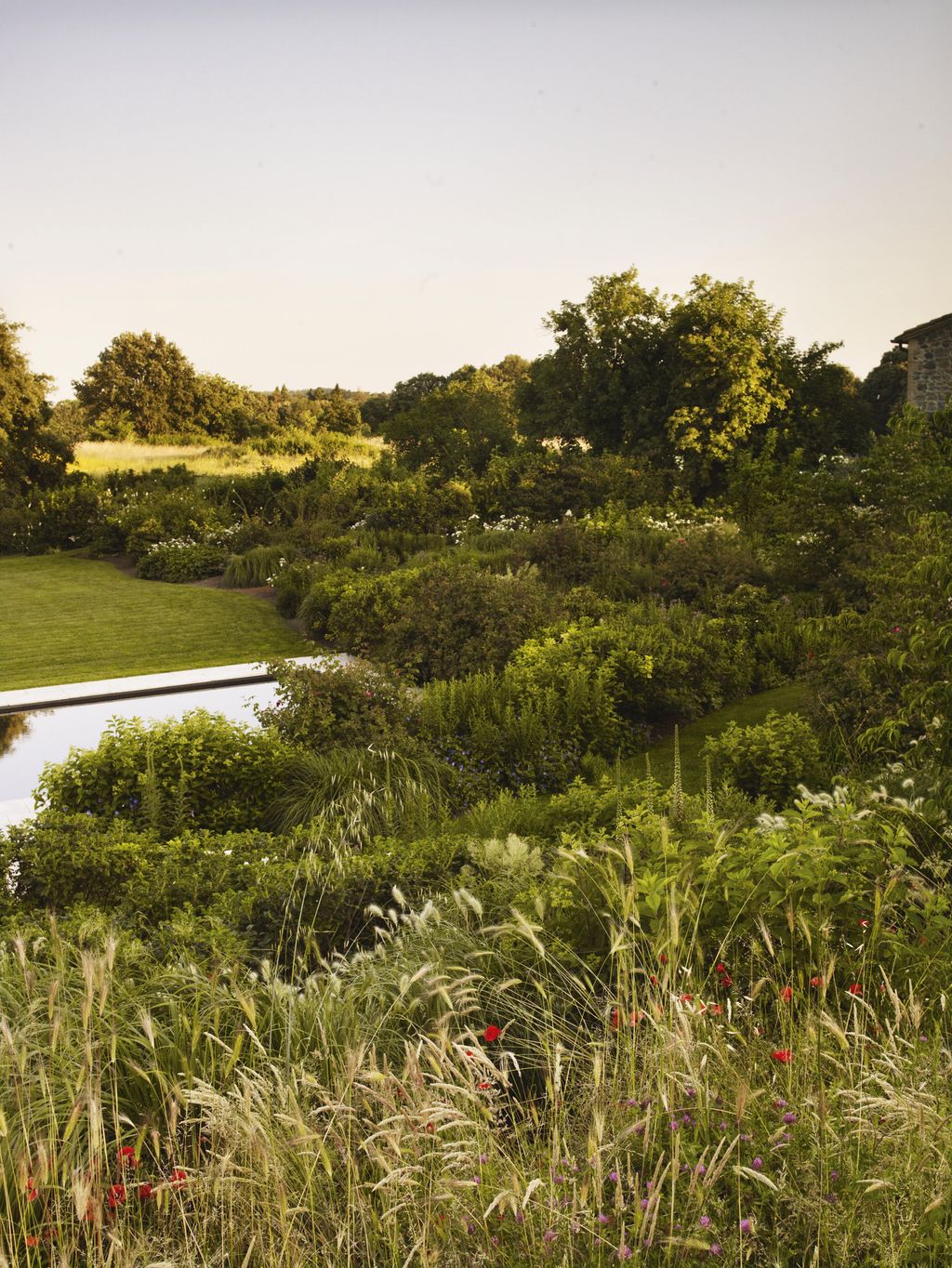Image may contain Outdoors Plant Grass Field Nature and Vegetation