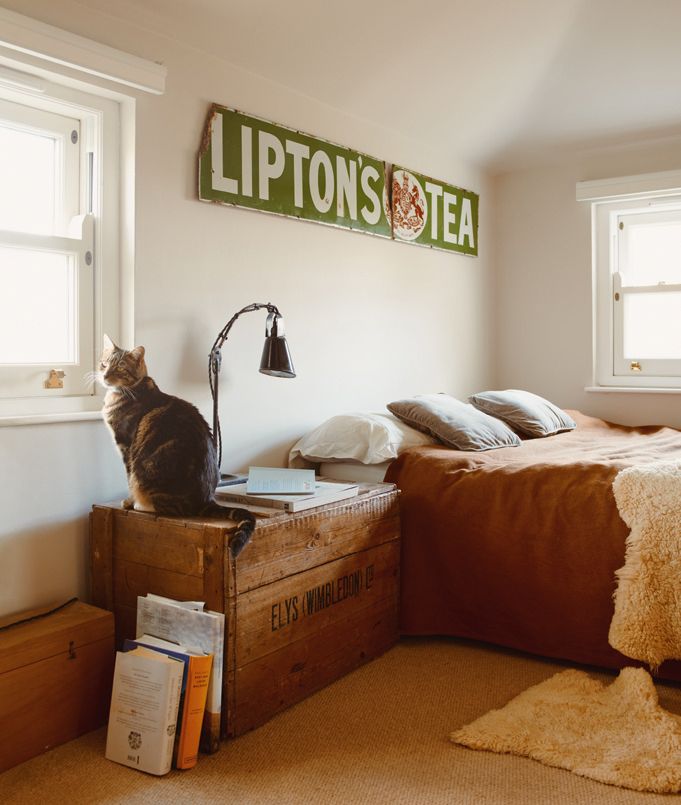 Pan the cat in the main bedroom.