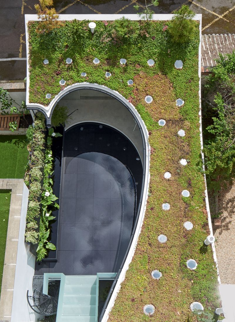 Image may contain Plant Grass Outdoors and Slate