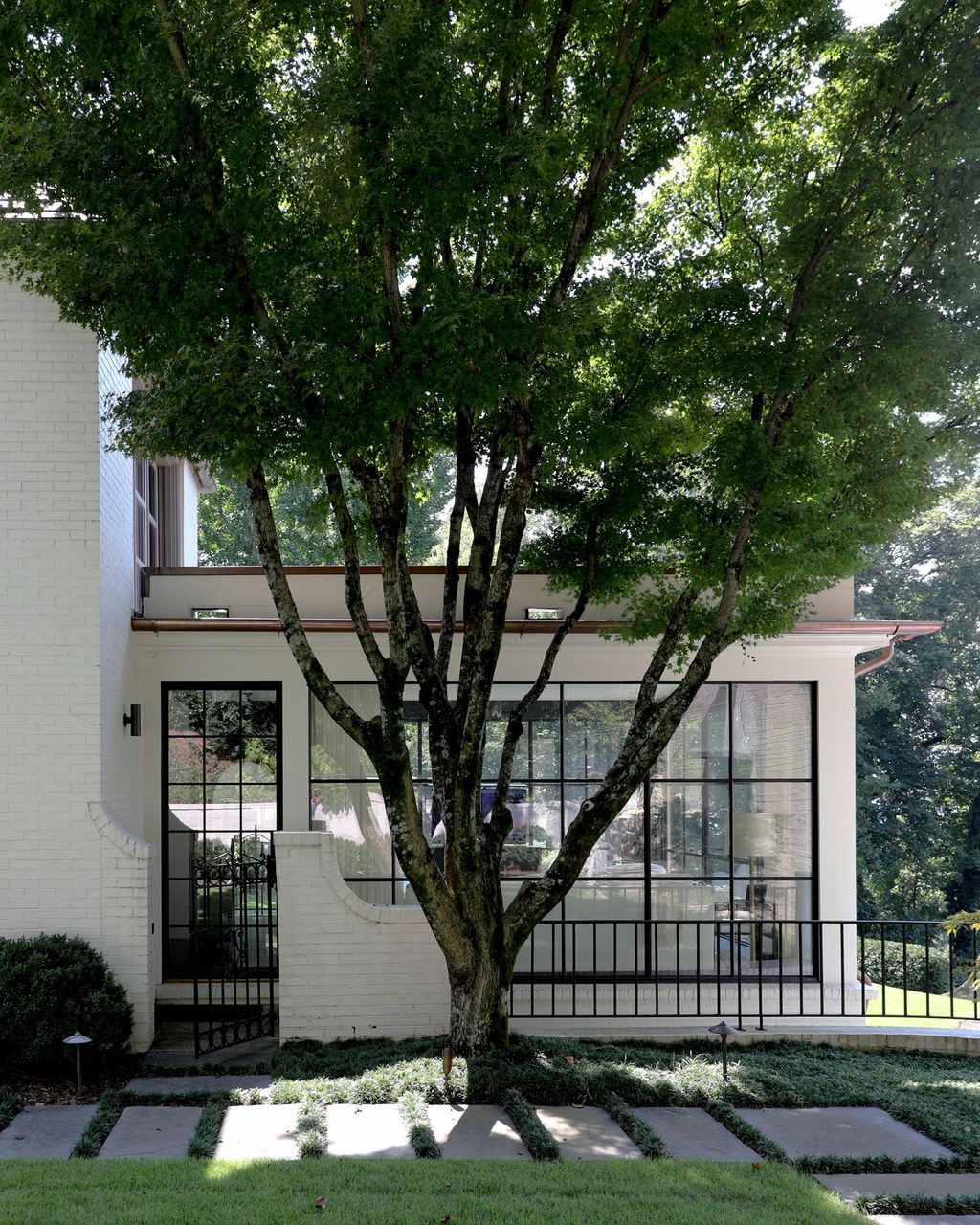 Image may contain Tree Plant Tree Trunk and Porch
