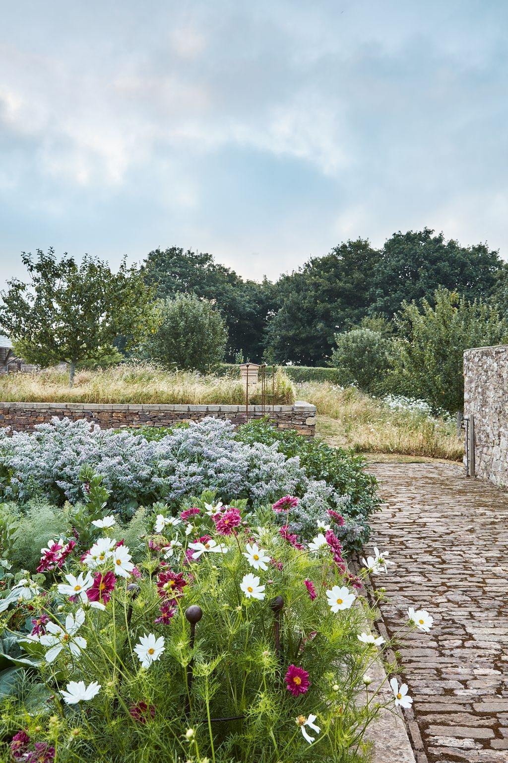 Image may contain Walkway Path Outdoors Flagstone Plant Flower Geranium Blossom Garden Sidewalk and Pavement