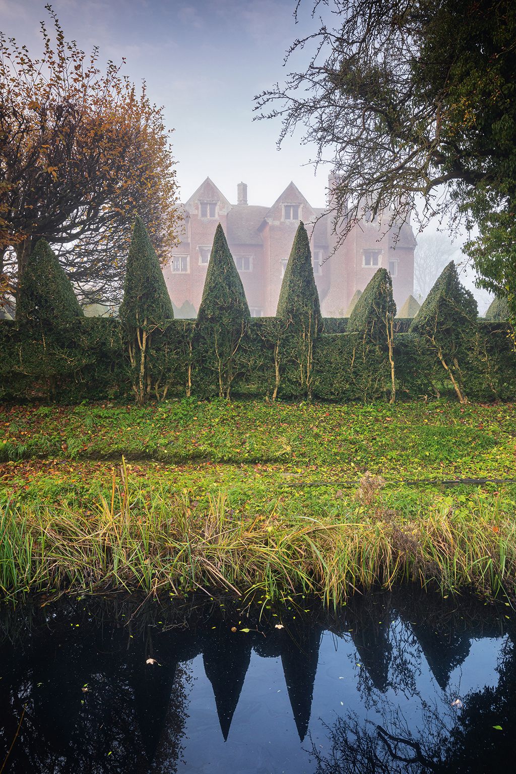 Image may contain Plant Fir Tree Abies Water Land Outdoors and Nature