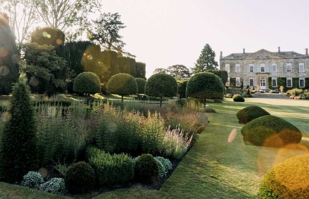 Image may contain Grass Plant Bush Vegetation Tree Outdoors Conifer Hedge Fence Garden Fir and Abies