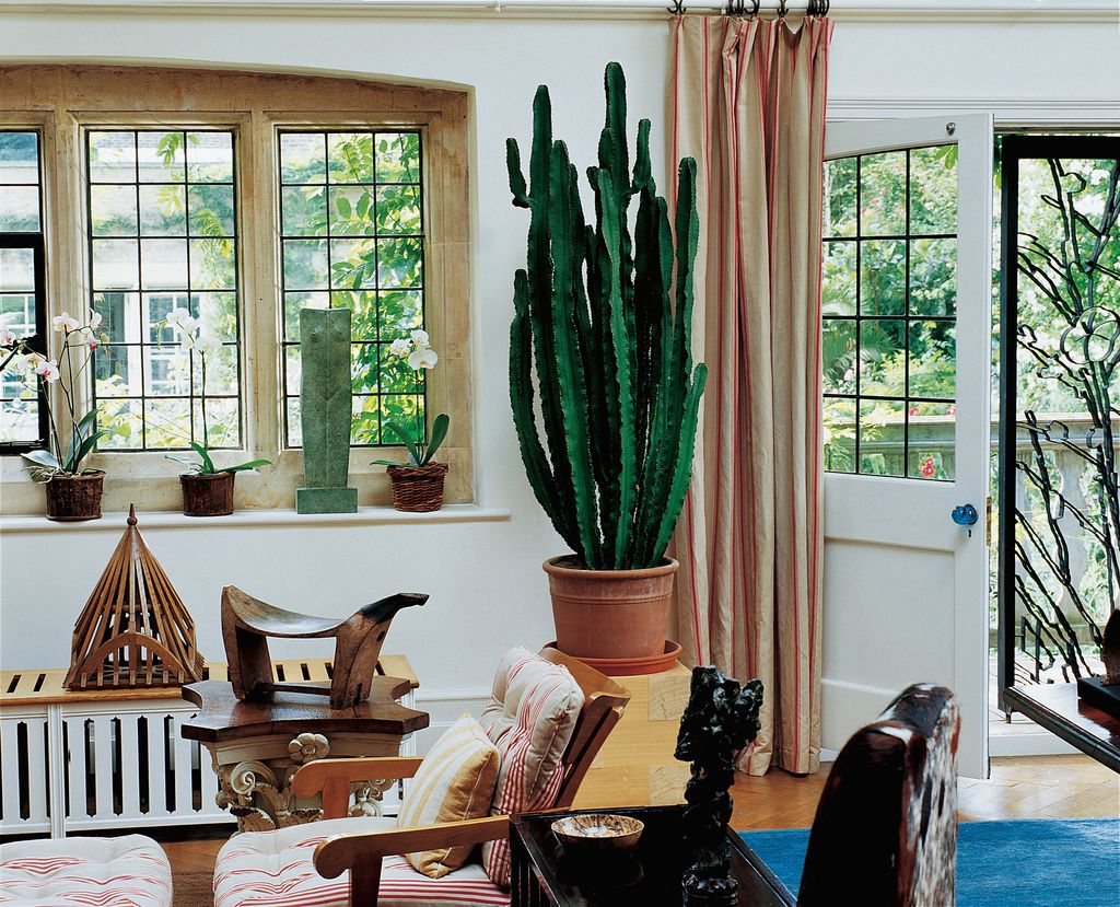 Image may contain Plant Indoors Room Furniture and Home Decor