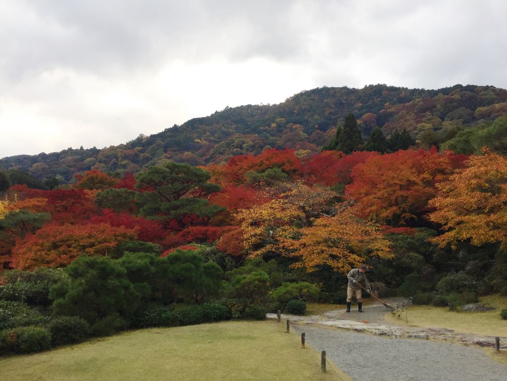 The surrounding views in Japanese landscape gardens seamlessly melt into the planted composition to create a unified...