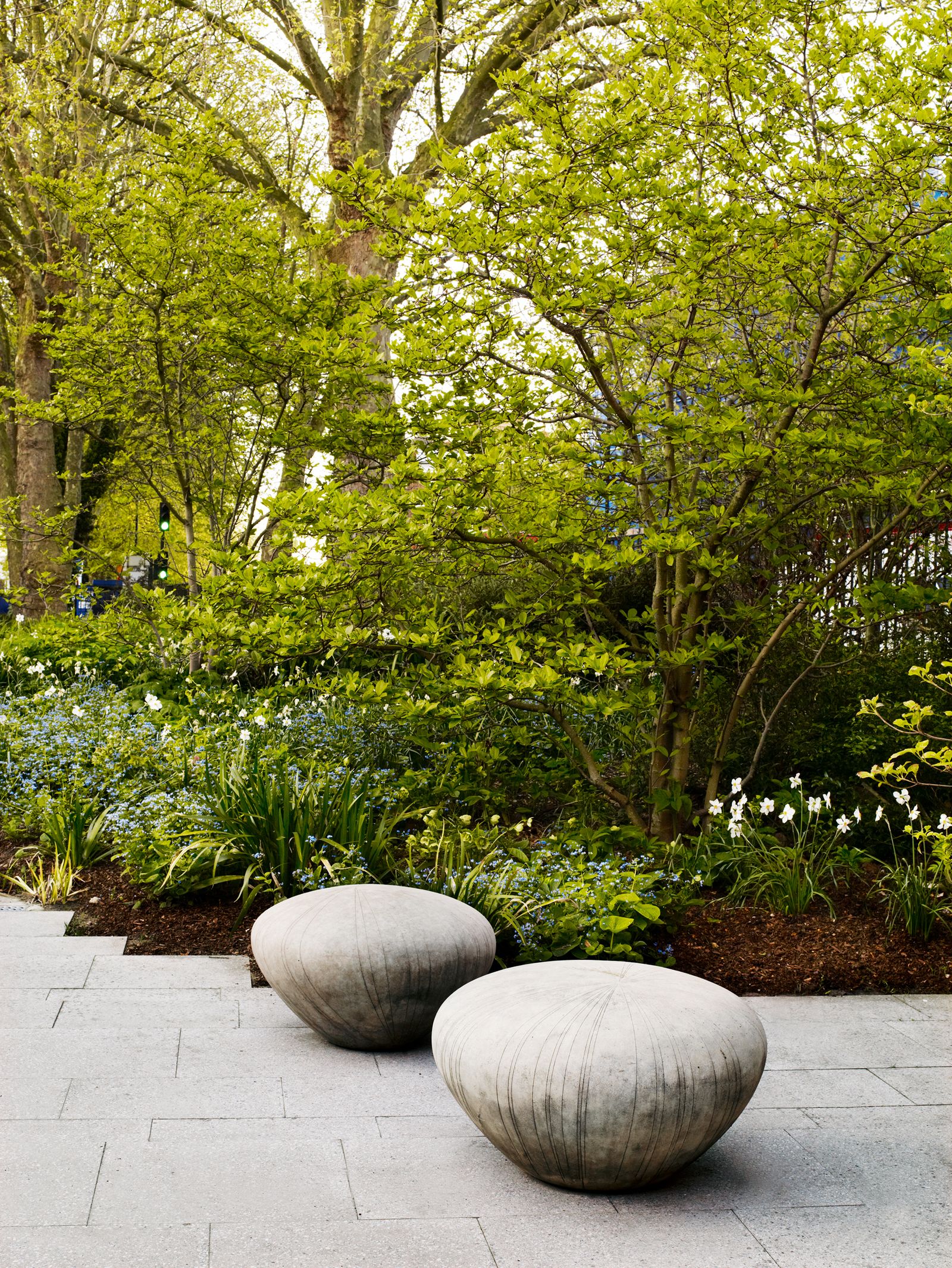 Image may contain Flagstone Plant Vegetation Grass Outdoors Tree and Path