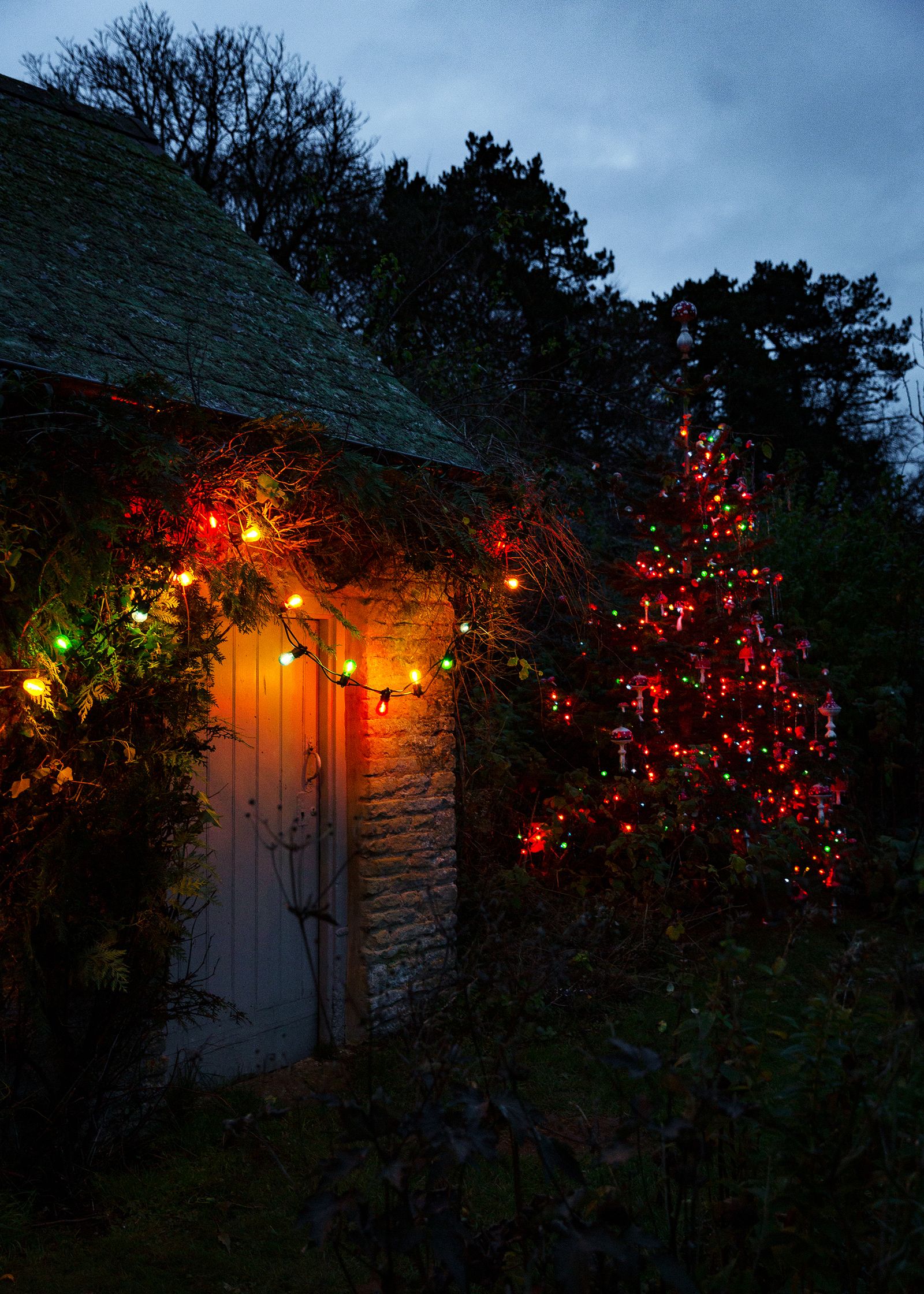 Image may contain Outdoors Nature Housing Building Countryside Rural House Hut Tree and Plant