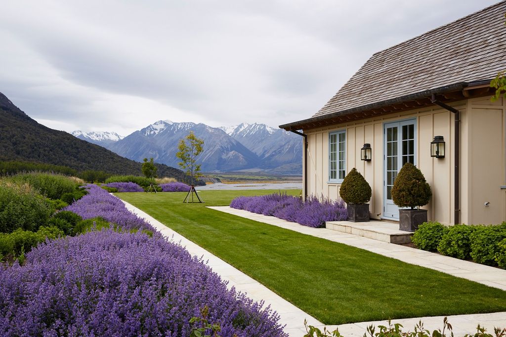 Image may contain Plant Grass Lawn Flower and Blossom