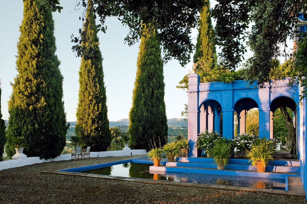 Image may contain Tree Plant Water Fir Abies Building and Outdoors