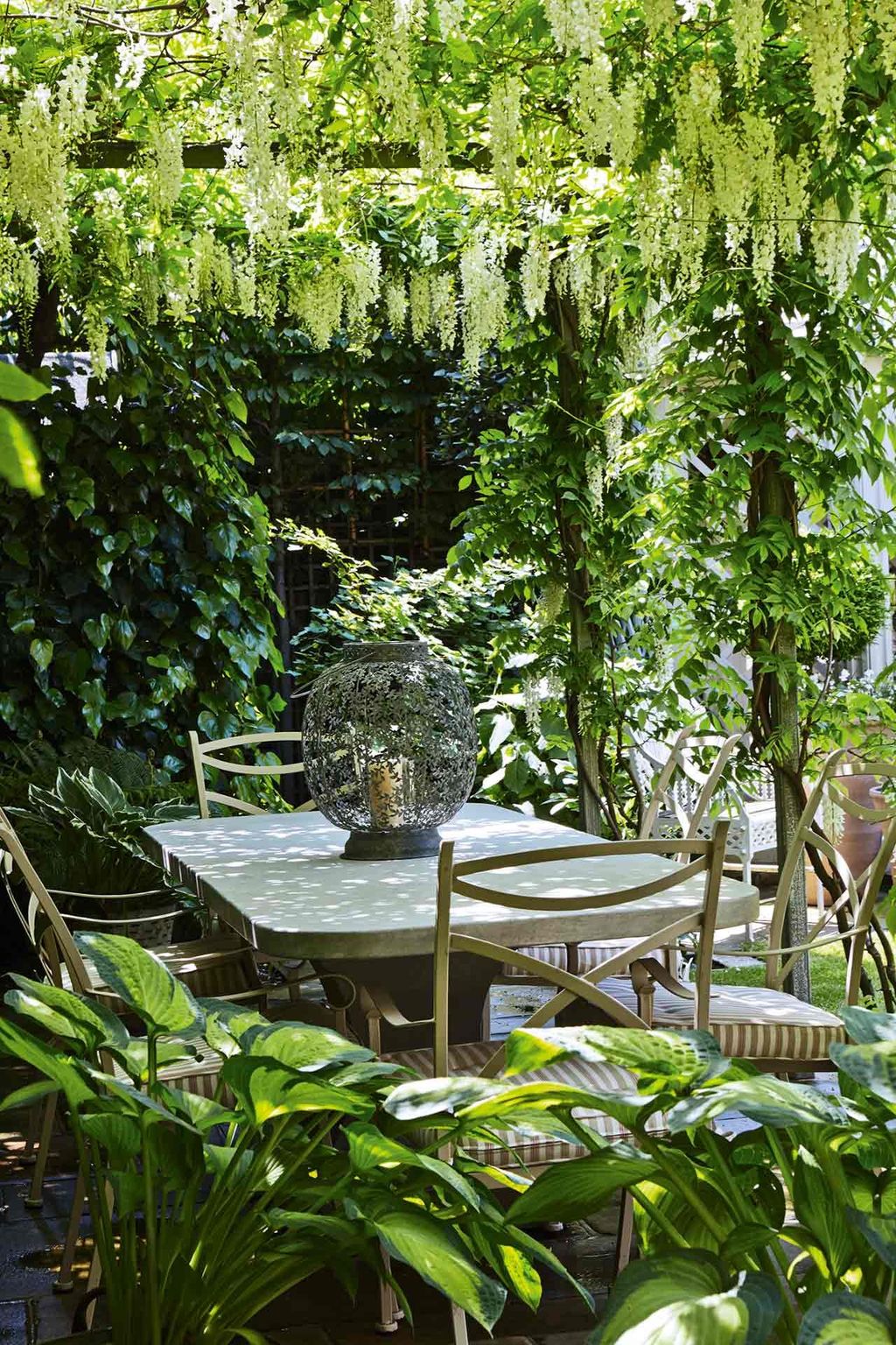Wisteria Pergola  Outdoor Dining Area | Outdoor  Alfresco Dining
