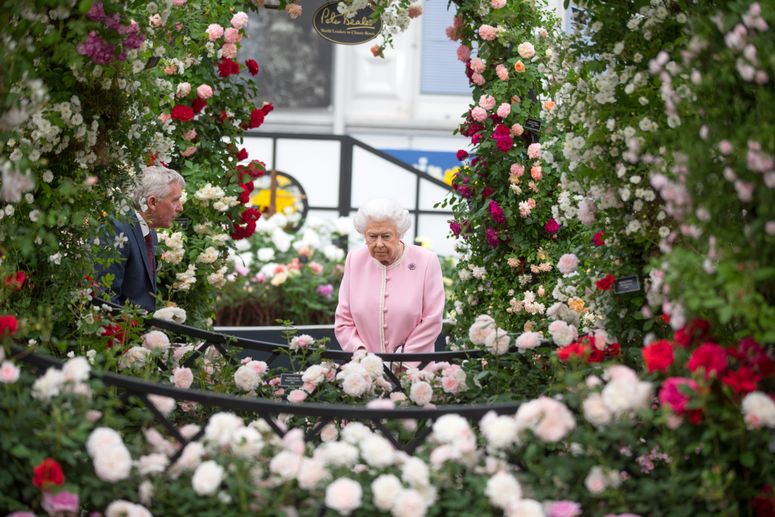Image may contain: Elizabeth II, Human, Person, Outdoors, Garden, Flower, Plant, Blossom, Dahlia, Clothing, and Apparel