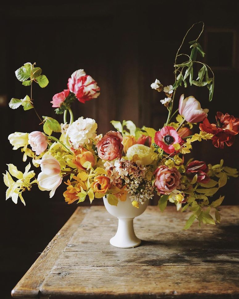 Image may contain: Plant, Flower, Blossom, Flower Arrangement, Graphics, Floral Design, Art, Pattern, Ikebana, and Ornament