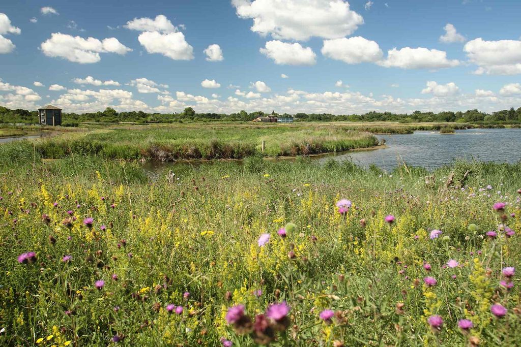 London Wetland Centre