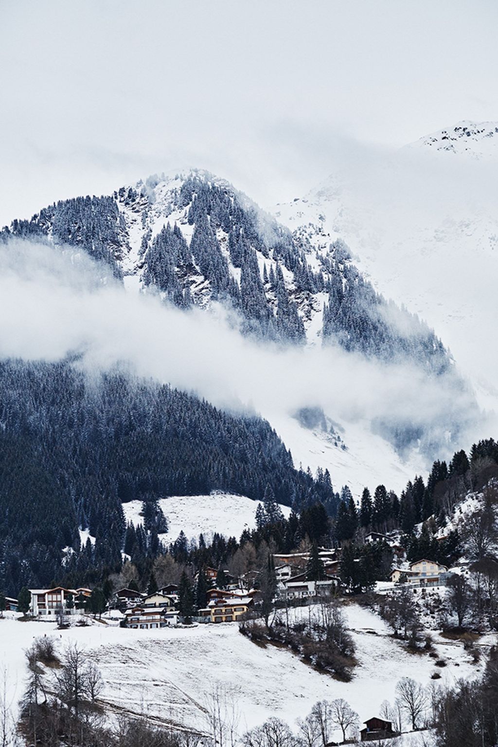 Image may contain Plant Tree Fir Abies Nature Mountain Outdoors Ice and Snow