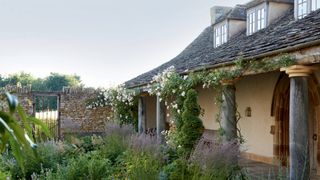 Image may contain Vase Plant Pottery Potted Plant Jar Planter Herbs Herbal Outdoors Cottage Housing and House