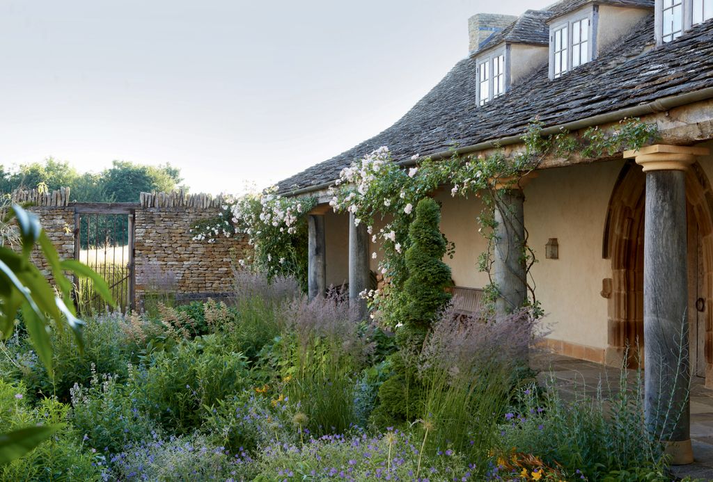 Image may contain Vase Plant Pottery Potted Plant Jar Planter Herbs Herbal Outdoors Cottage Housing and House