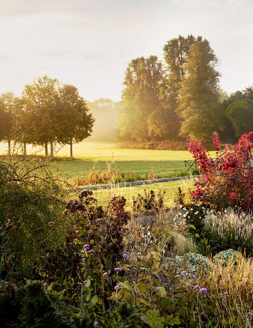 The borders in the sunken garden of St Giles House continue to provide interest right through the winter with graceful...