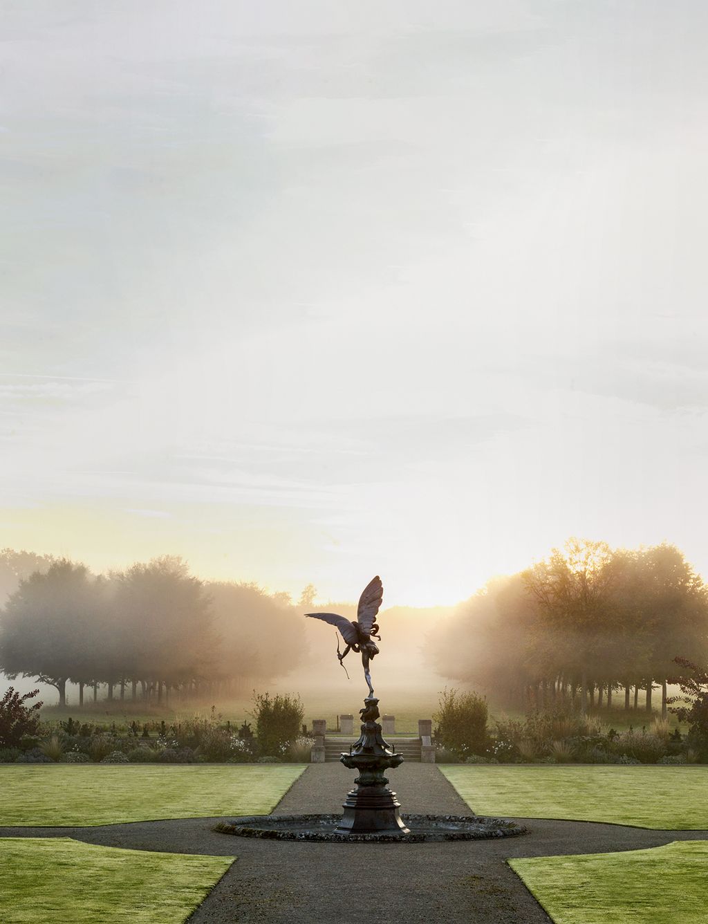 Image may contain Nature Weather Grass Plant Outdoors Animal Bird Fog and Mist