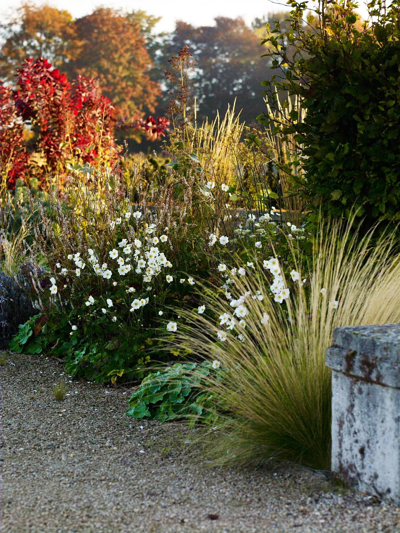 Image may contain Plant Outdoors Vegetation Bush Road Gravel Dirt Road and Ground