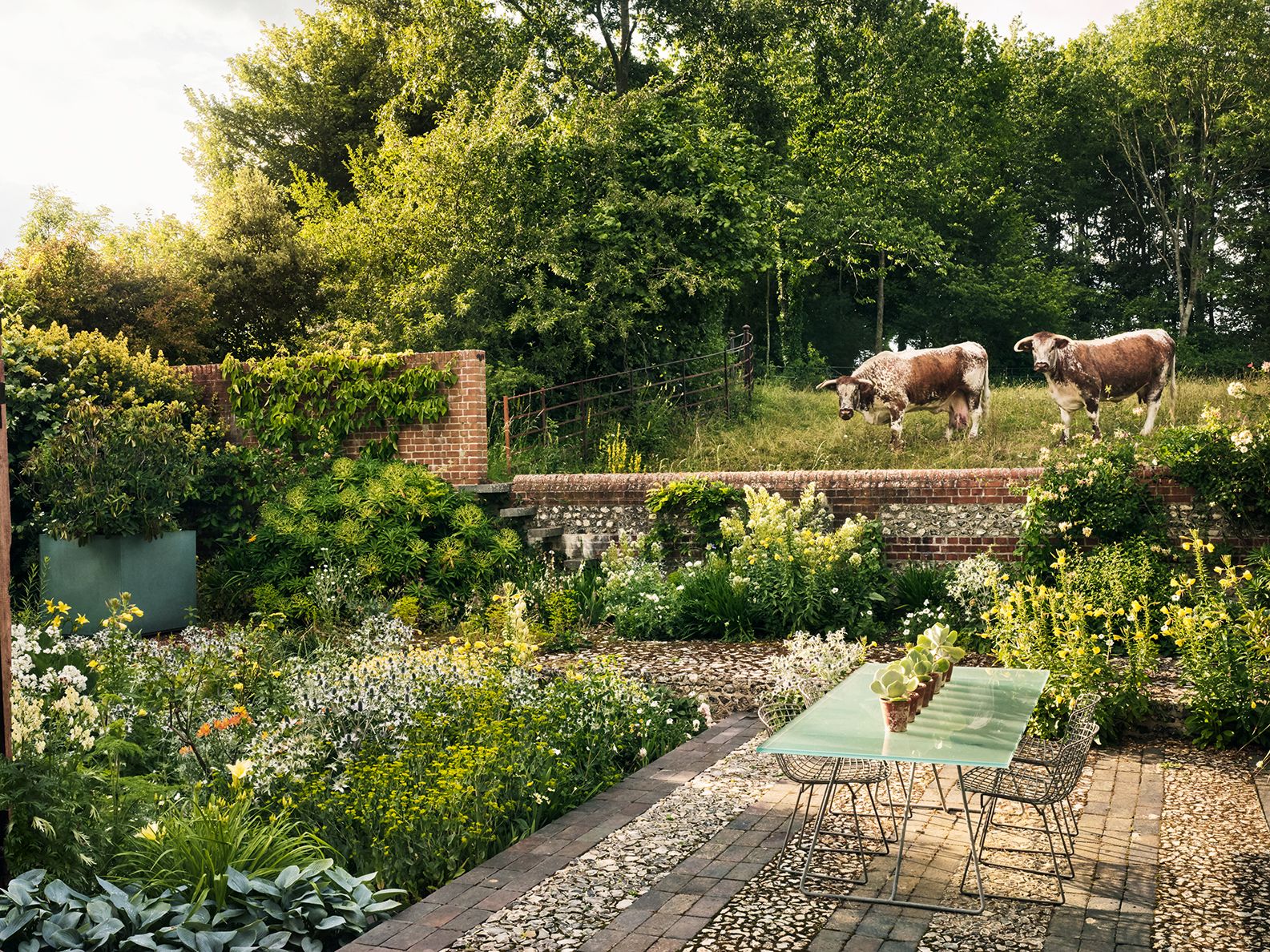 Image may contain Animal Cattle Mammal Cow Furniture Chair Bull Outdoors Flagstone Garden and Arbour