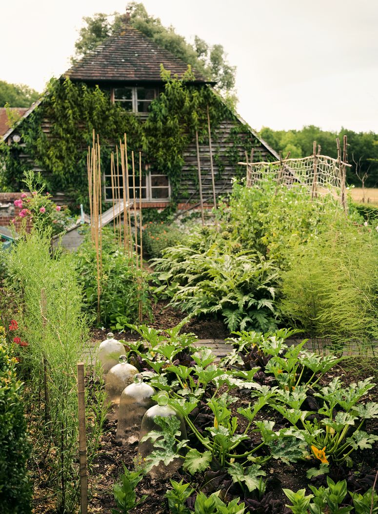 Image may contain: Outdoors, Vase, Plant, Pottery, Potted Plant, Jar, Garden, Arbour, Planter, Herbs, Nature, and Animal