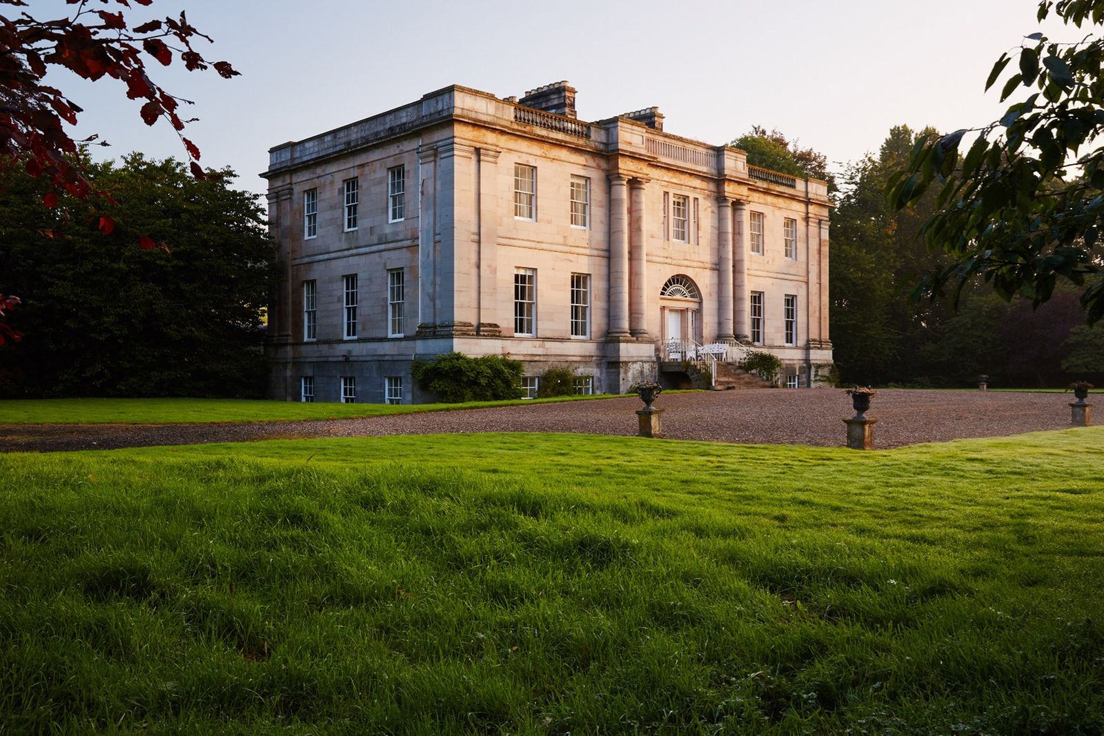 Image may contain Plant Grass and Lawn