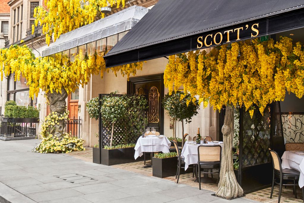 This Mayfair institution has long been famed for its glorious terrace where the tables have always been suitably...
