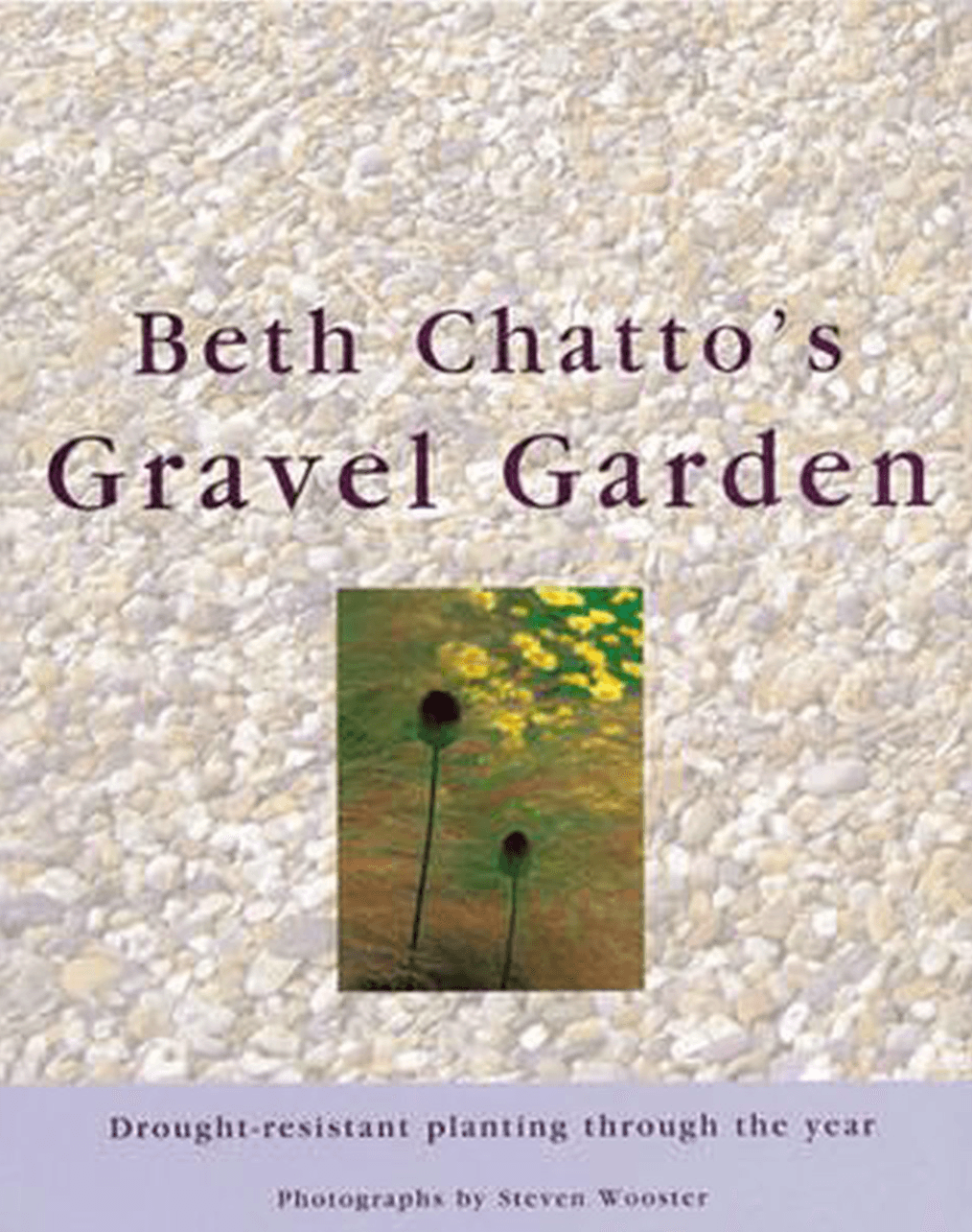 Beth Chatto who died in 2018 was one of the most brilliant gardeners and happy to share her lifelong love of plants. Her...
