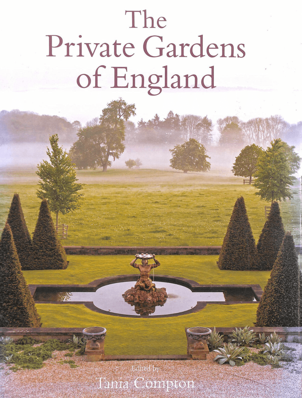 Image may contain Tree Plant Fir Abies Conifer Advertisement and Poster