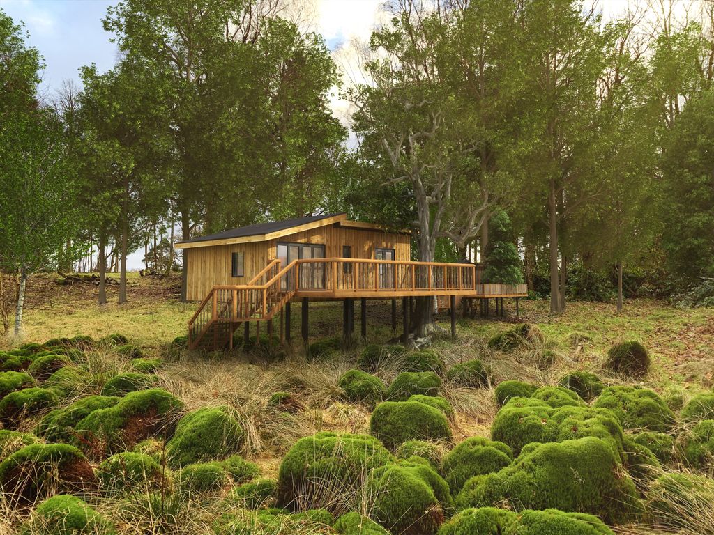 Image may contain Housing Building Cabin House Outdoors Nature Cottage Vegetation Plant and Countryside