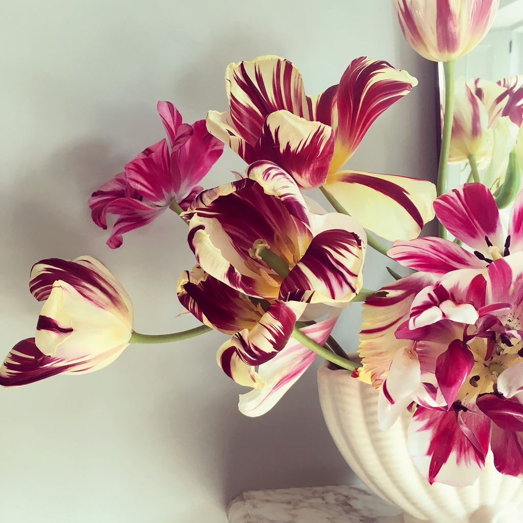 Image may contain Plant Flower Blossom Flower Arrangement and Flower Bouquet