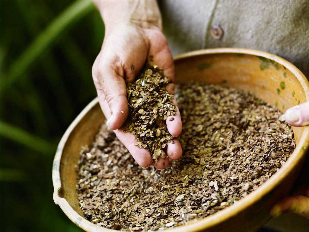 Philip is gradually turning the surrounding 18acre garden into a small nature reserve and a haven for native grasses...