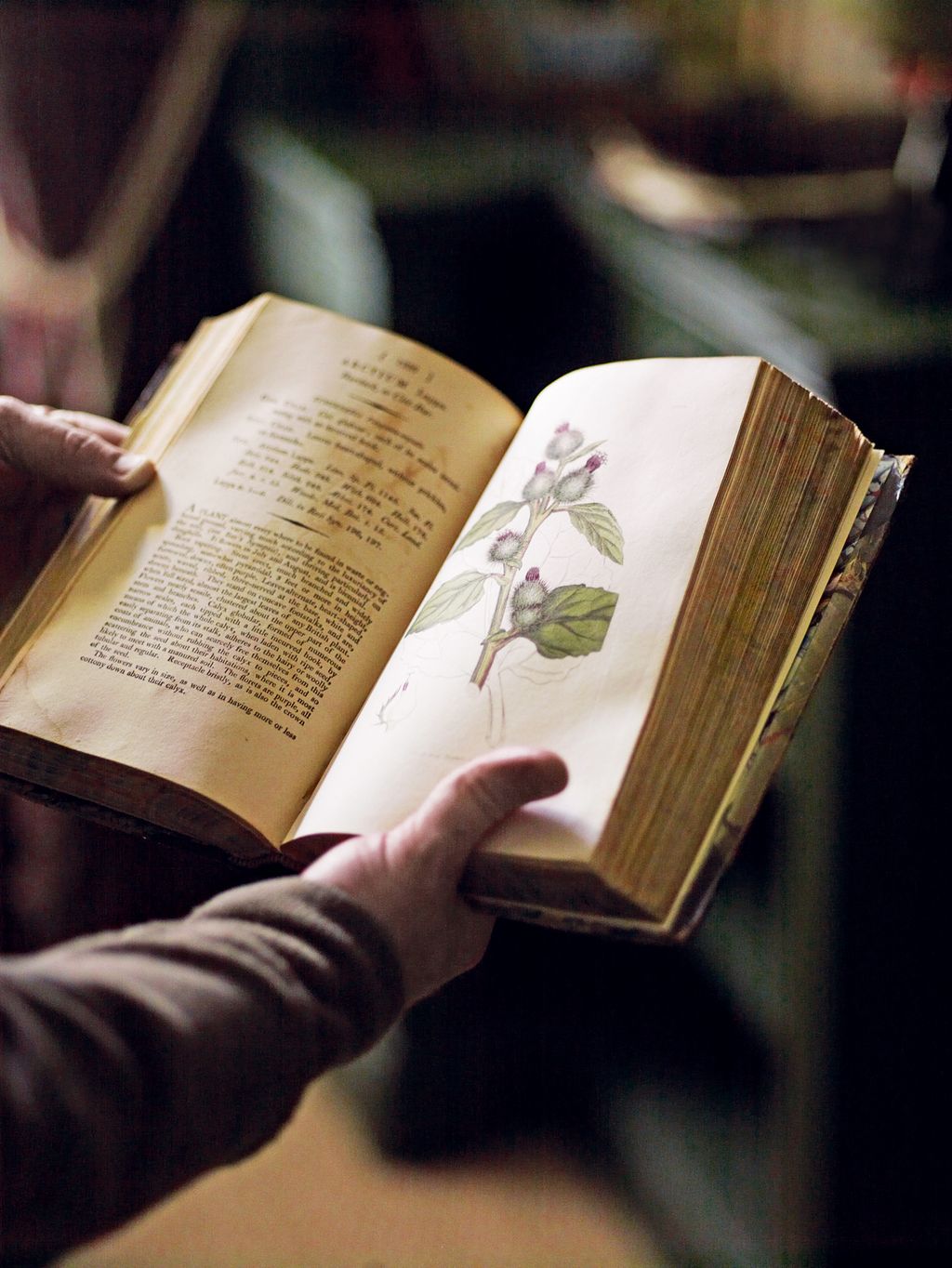 Image may contain Book Human Person Text and Diary