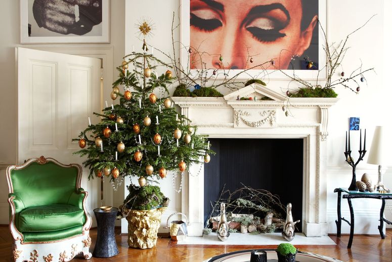 Image may contain: Plant, Tree, Living Room, Indoors, Room, and Ornament