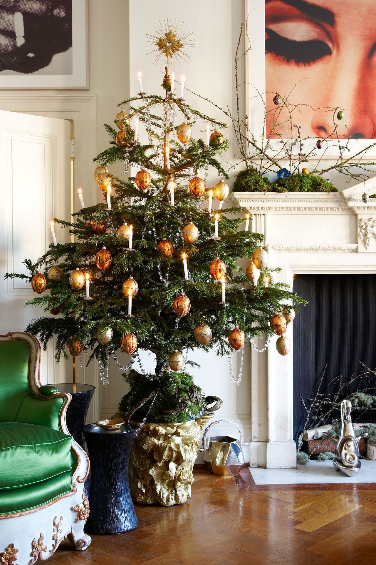 Image may contain Plant Ornament Tree and Christmas Tree