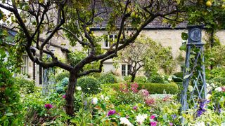 Image may contain Garden Outdoors Arbour Plant Flower and Blossom