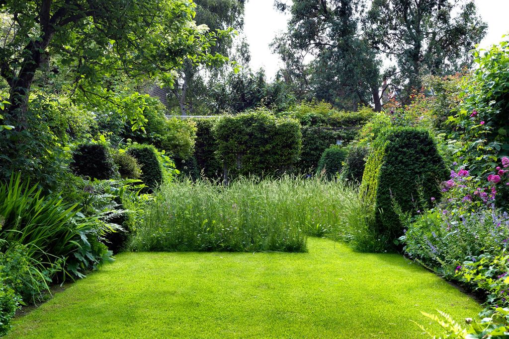 Image may contain Plant Grass Outdoors and Lawn