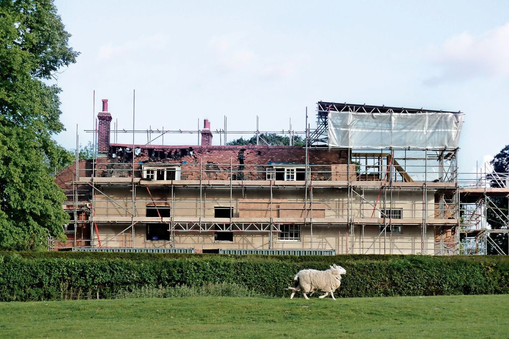 Image may contain Grass Plant Outdoors Animal Sheep Mammal Field Nature Vehicle Transportation Boat and Grassland