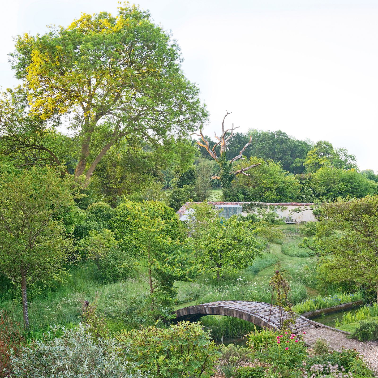 7 best bird feeders and feeding stations