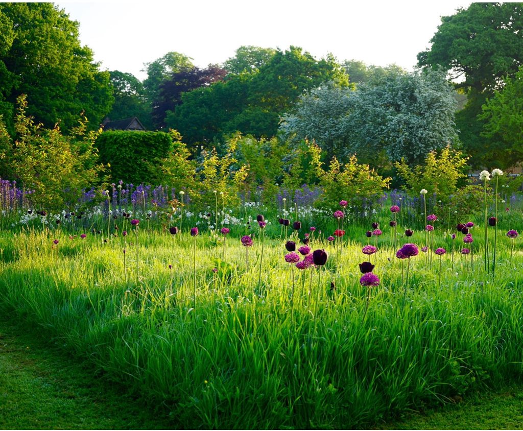 Image may contain Plant Outdoors Vase Pottery Potted Plant Jar Grass Flower Blossom Garden Spring and Field