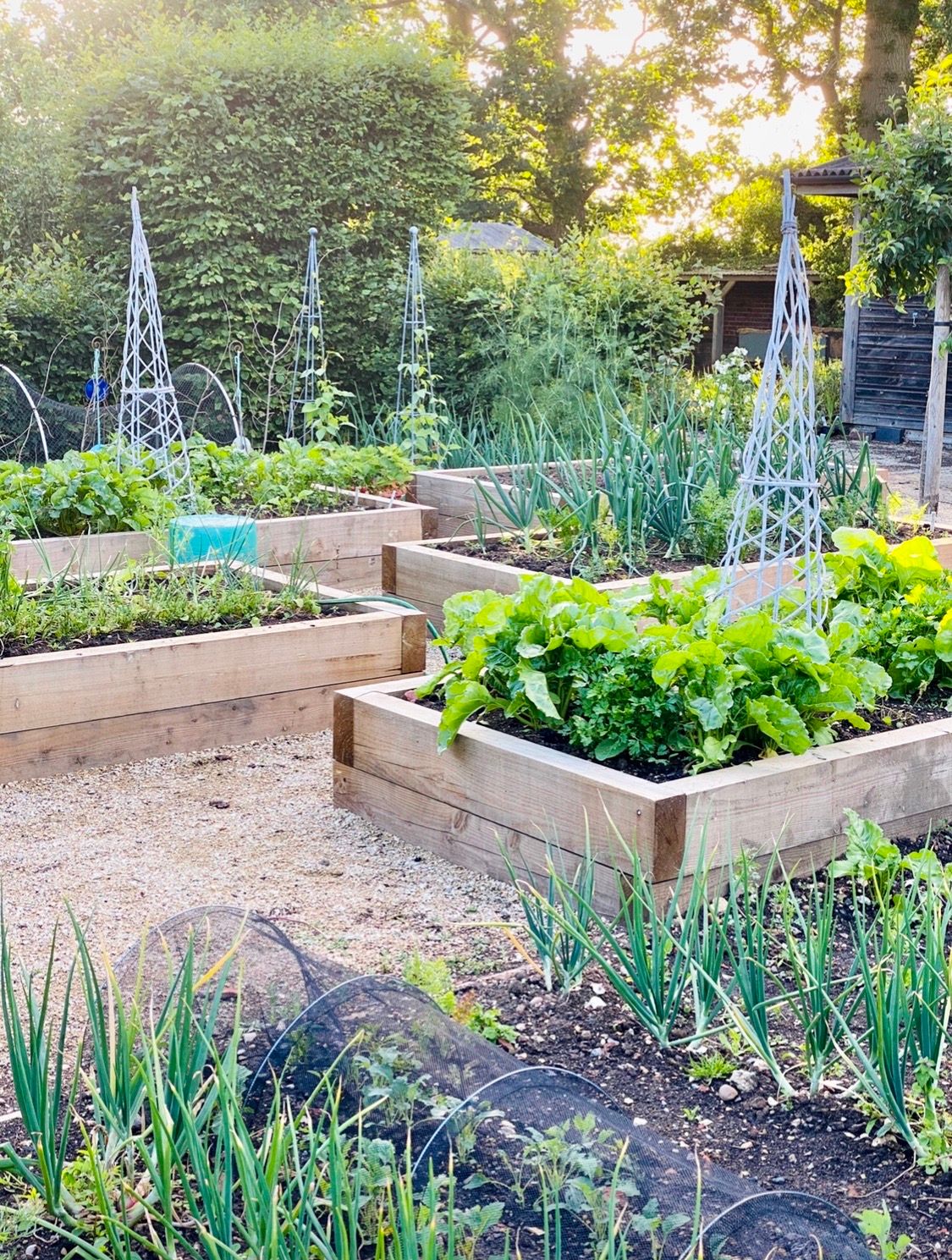 Image may contain Outdoors Garden Plant Yard Nature Pottery Vase Potted Plant Jar and Planter