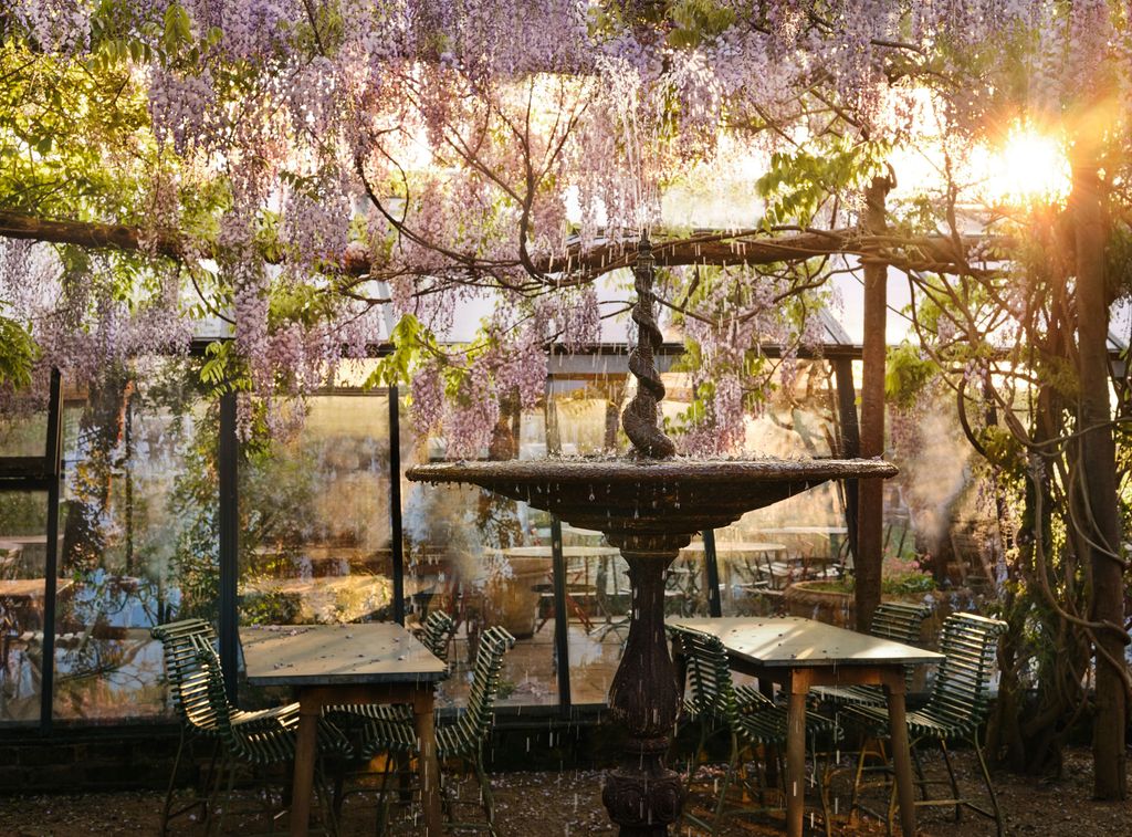 Image may contain Furniture Chair Dining Table Table Patio Outdoors and Plant