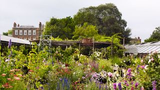 Image may contain Outdoors Garden Arbour Plant Flower Blossom Pottery Vase Potted Plant and Jar