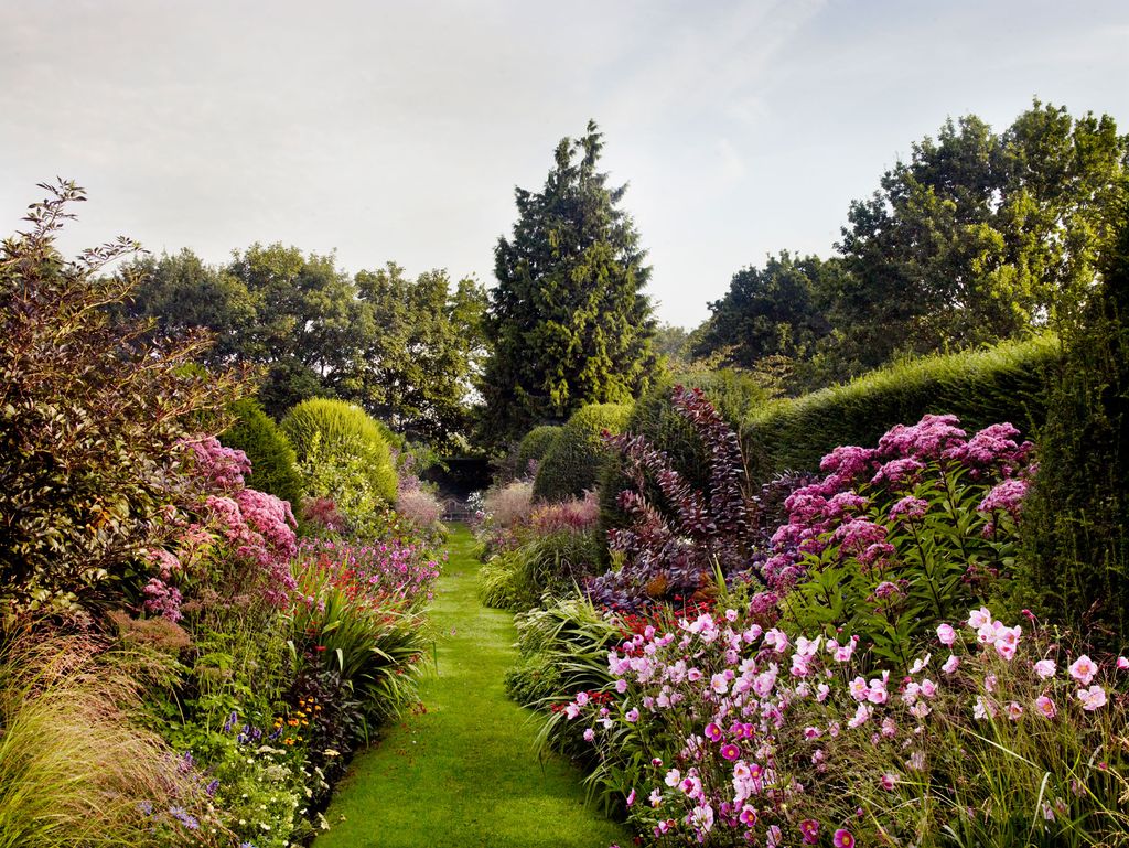 Image may contain Grass Plant Outdoors Fir Tree Abies and Garden