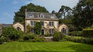 Image may contain Plant Grass and Lawn