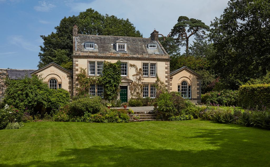 Image may contain Plant Grass and Lawn