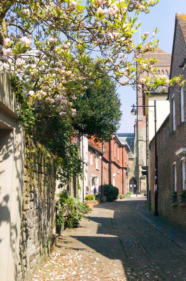 Image may contain Outdoors Garden Arbour City Town Urban Road Street Building Flagstone Path and Walkway