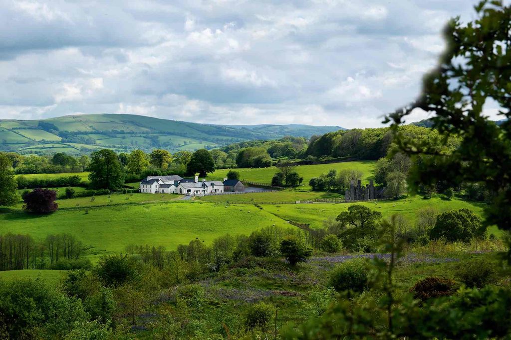Image may contain Nature Grassland Outdoors Field Countryside Rural Farm Meadow Grass Plant Pasture and Ranch