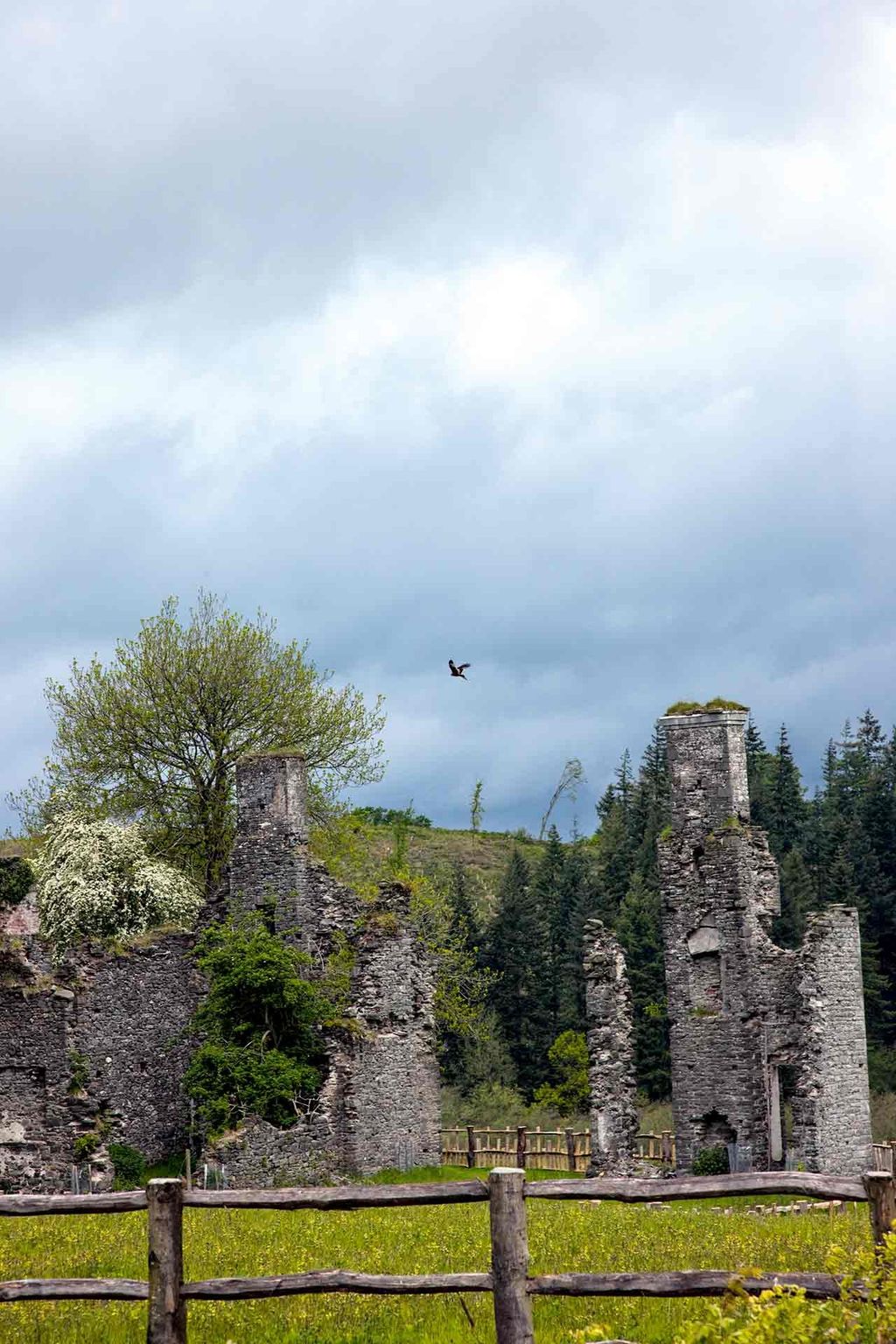Ruins  Prince Charles' Welsh Home | Real Homes