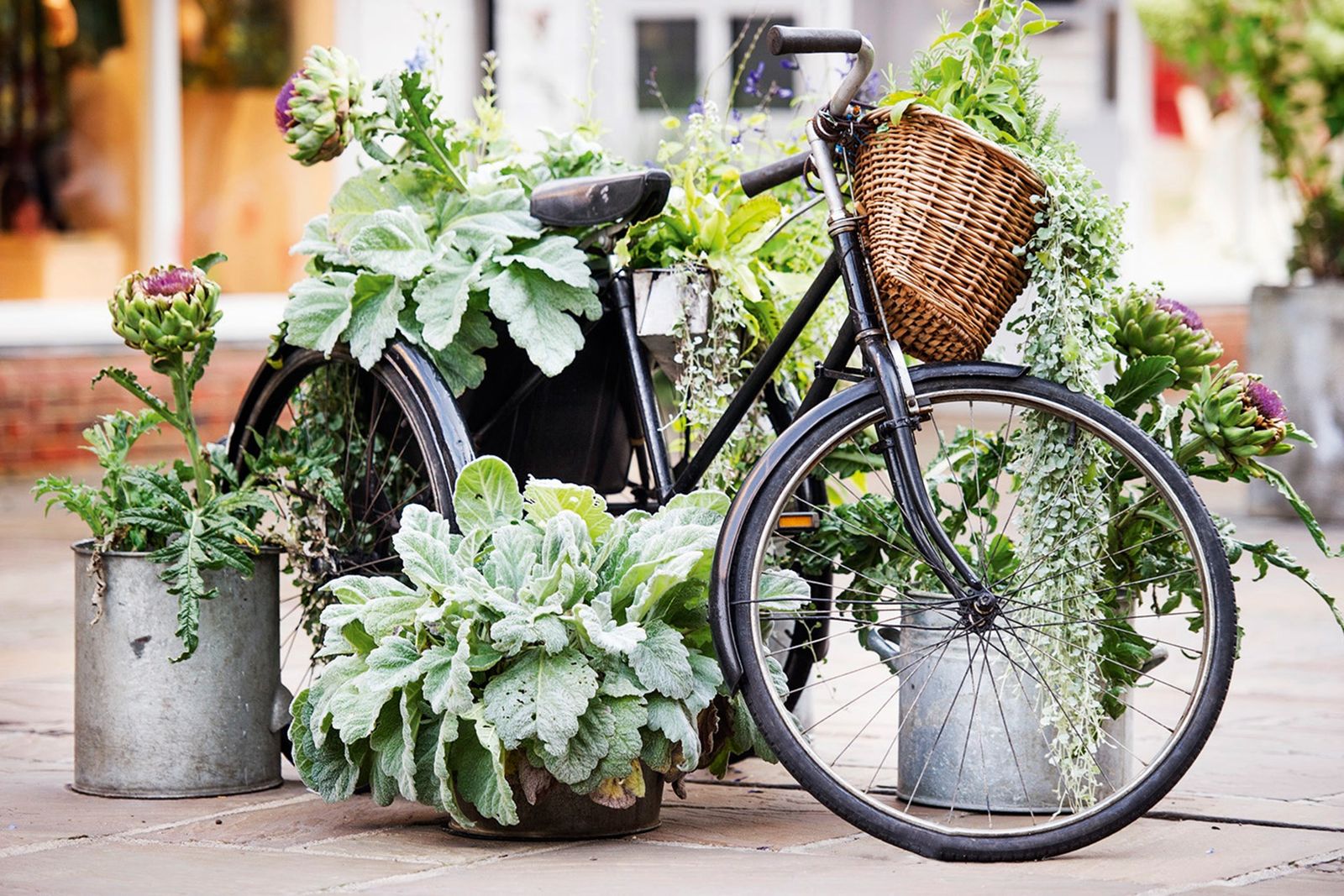 Image may contain Wheel Machine Transportation Vehicle Bicycle Bike Vase Plant Pottery Potted Plant and Jar